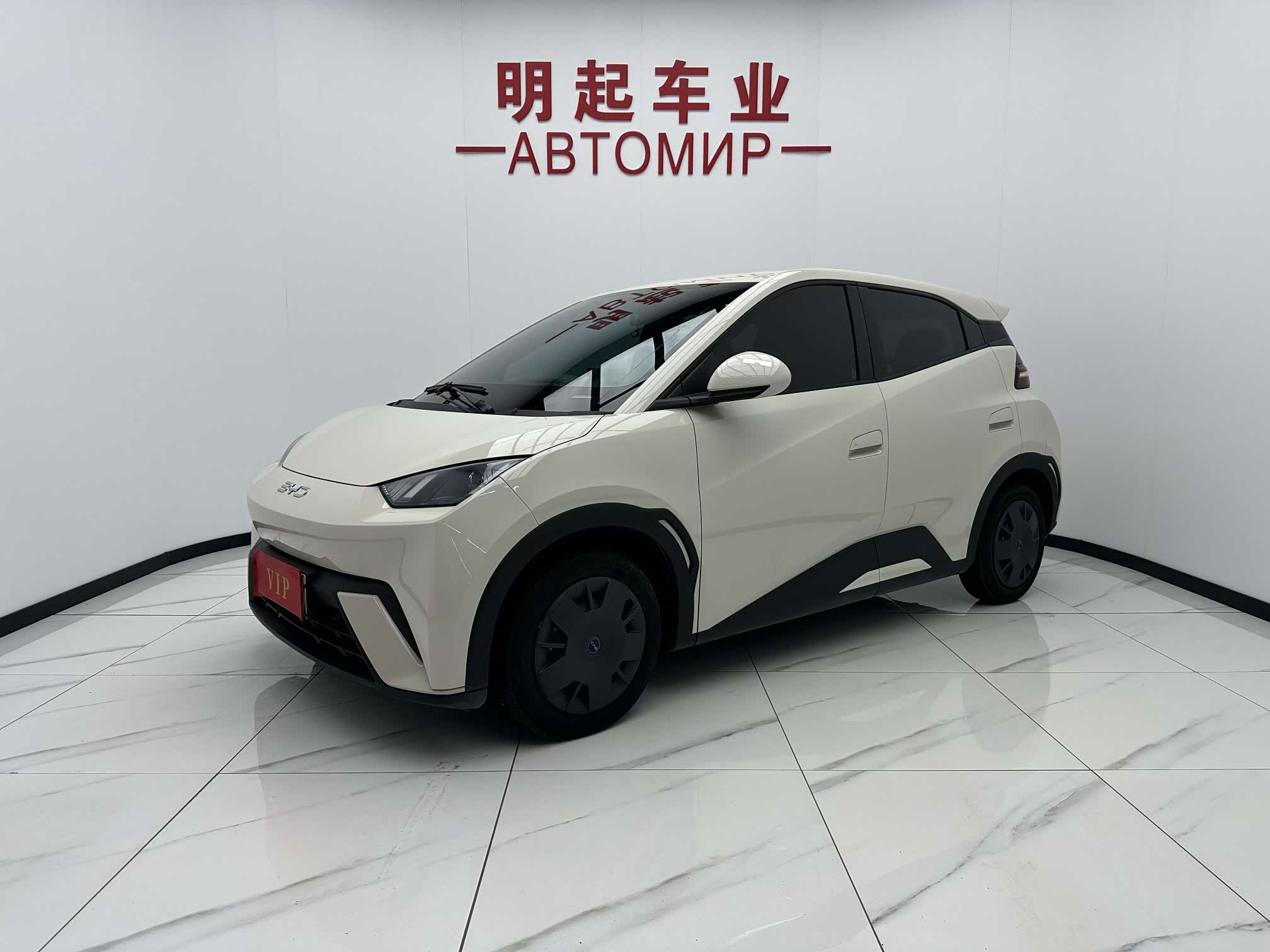 BYD Seagull