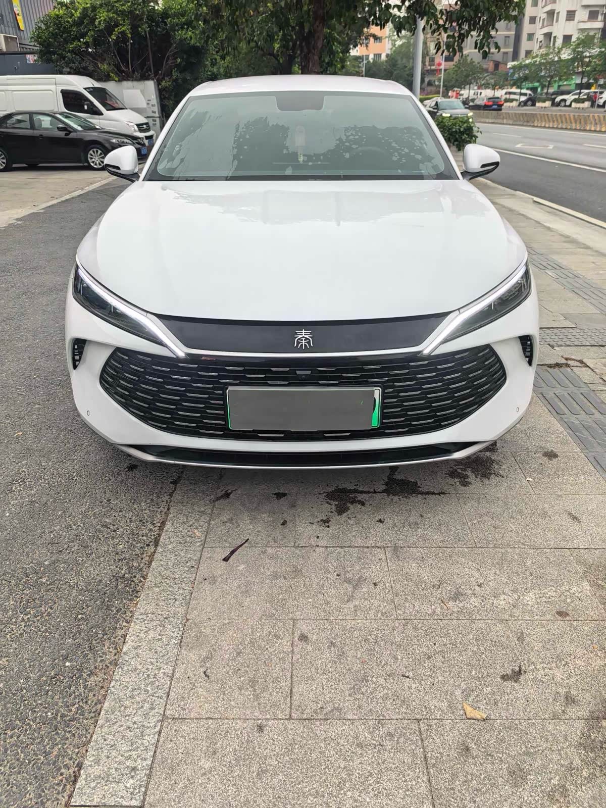 BYD Qin L