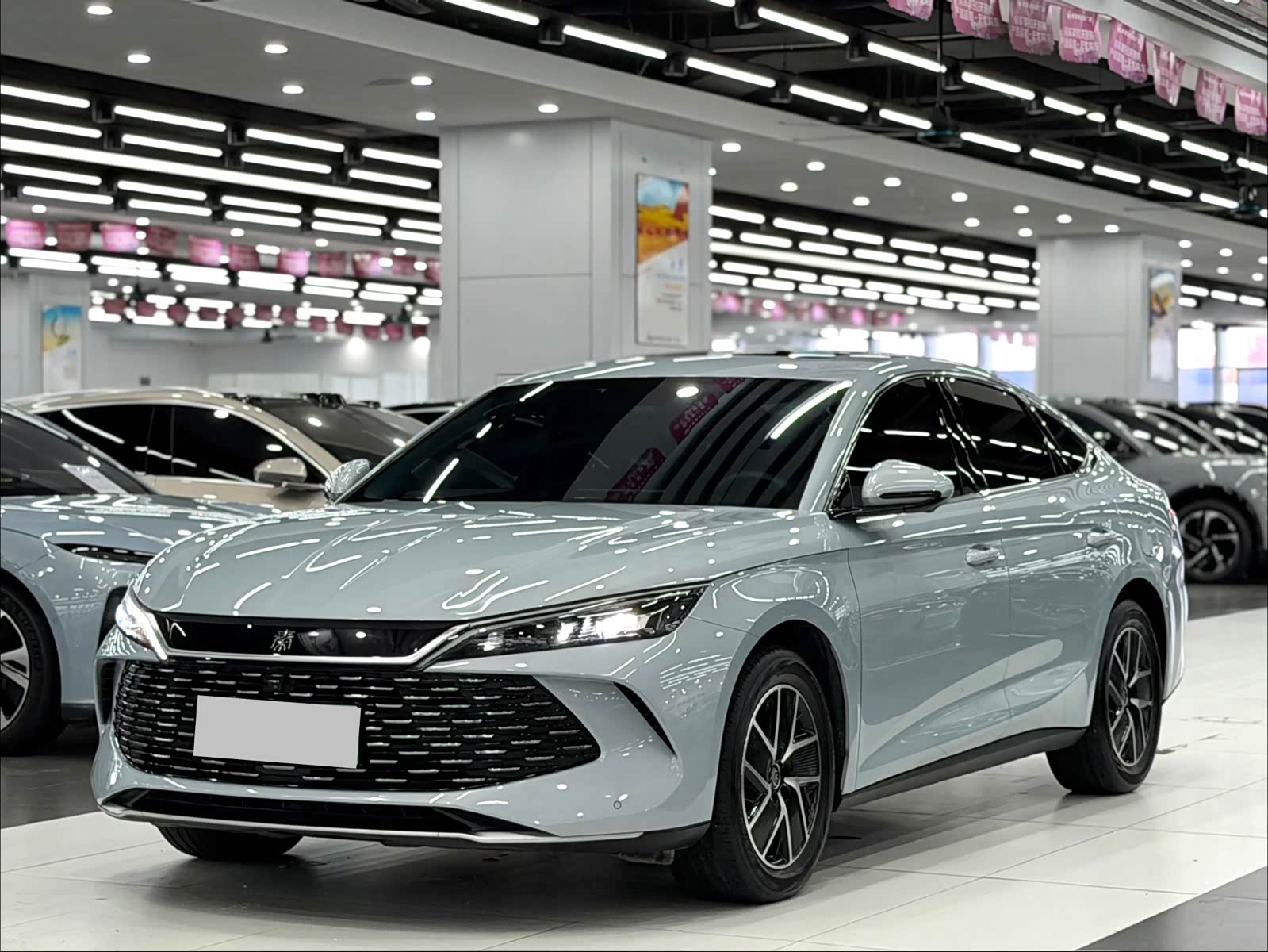 BYD Qin L