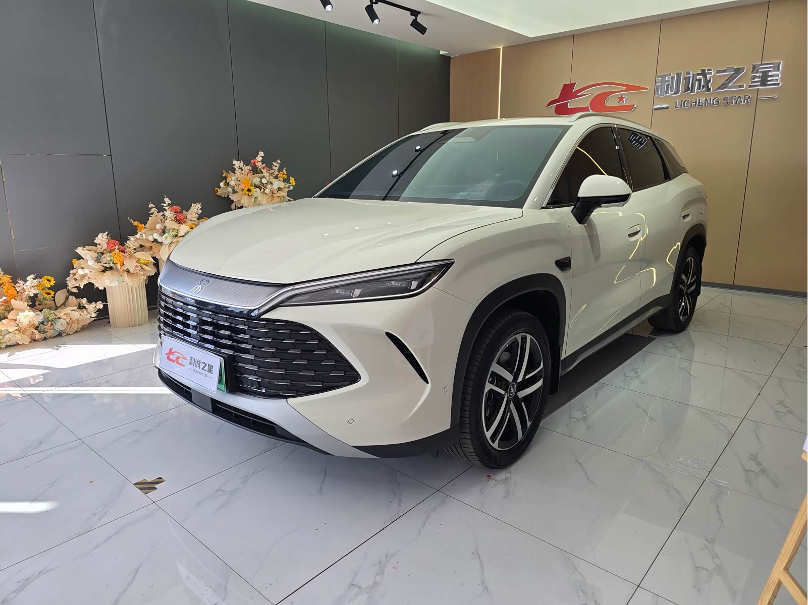 BYD Song L