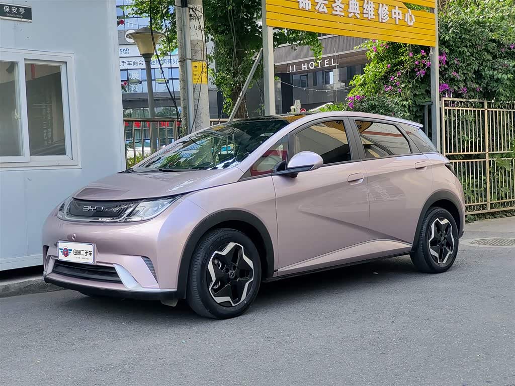BYD Dolphin