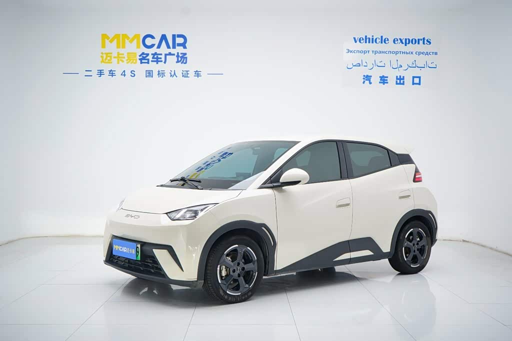 BYD Seagull