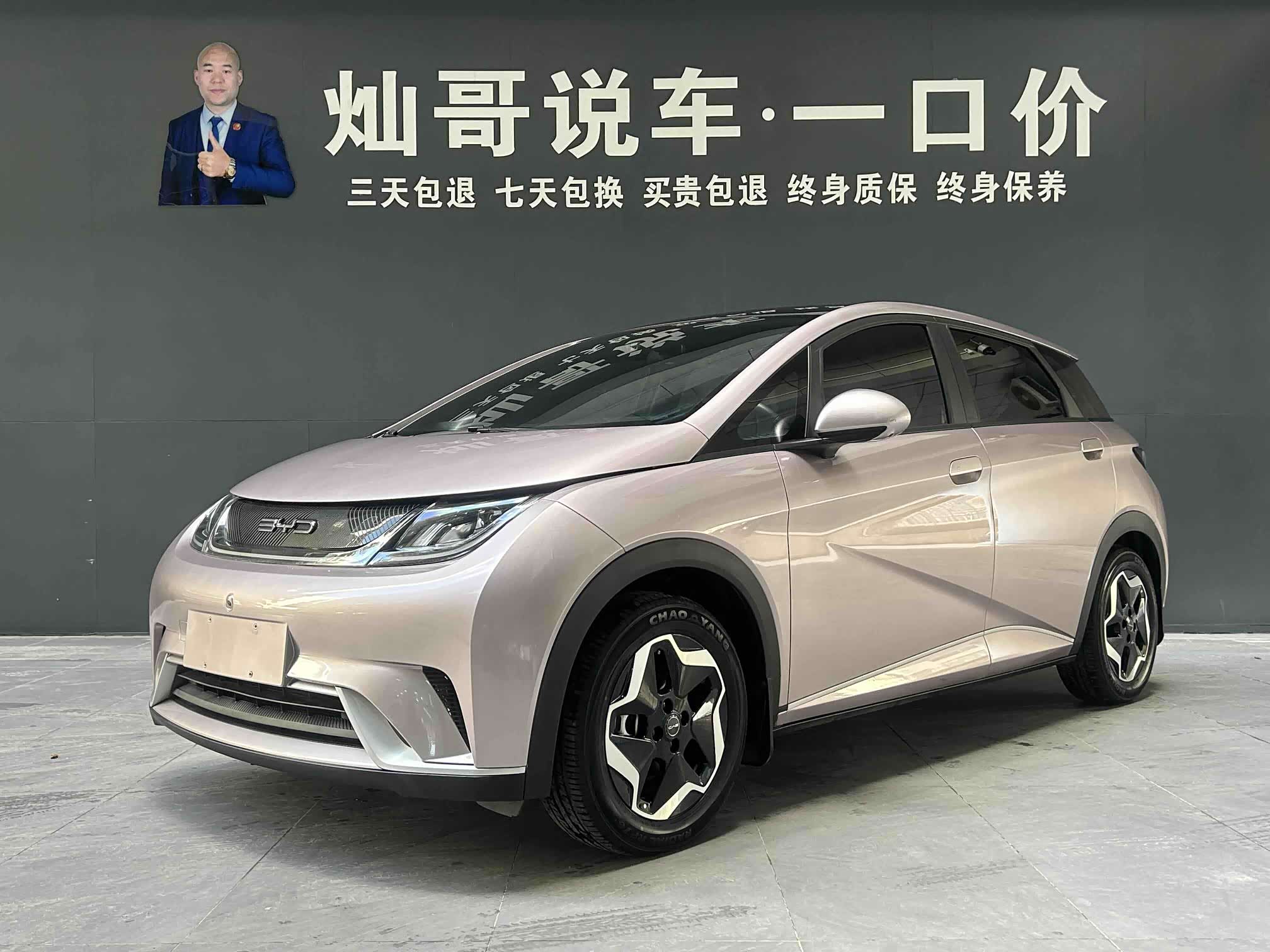 BYD Dolphin