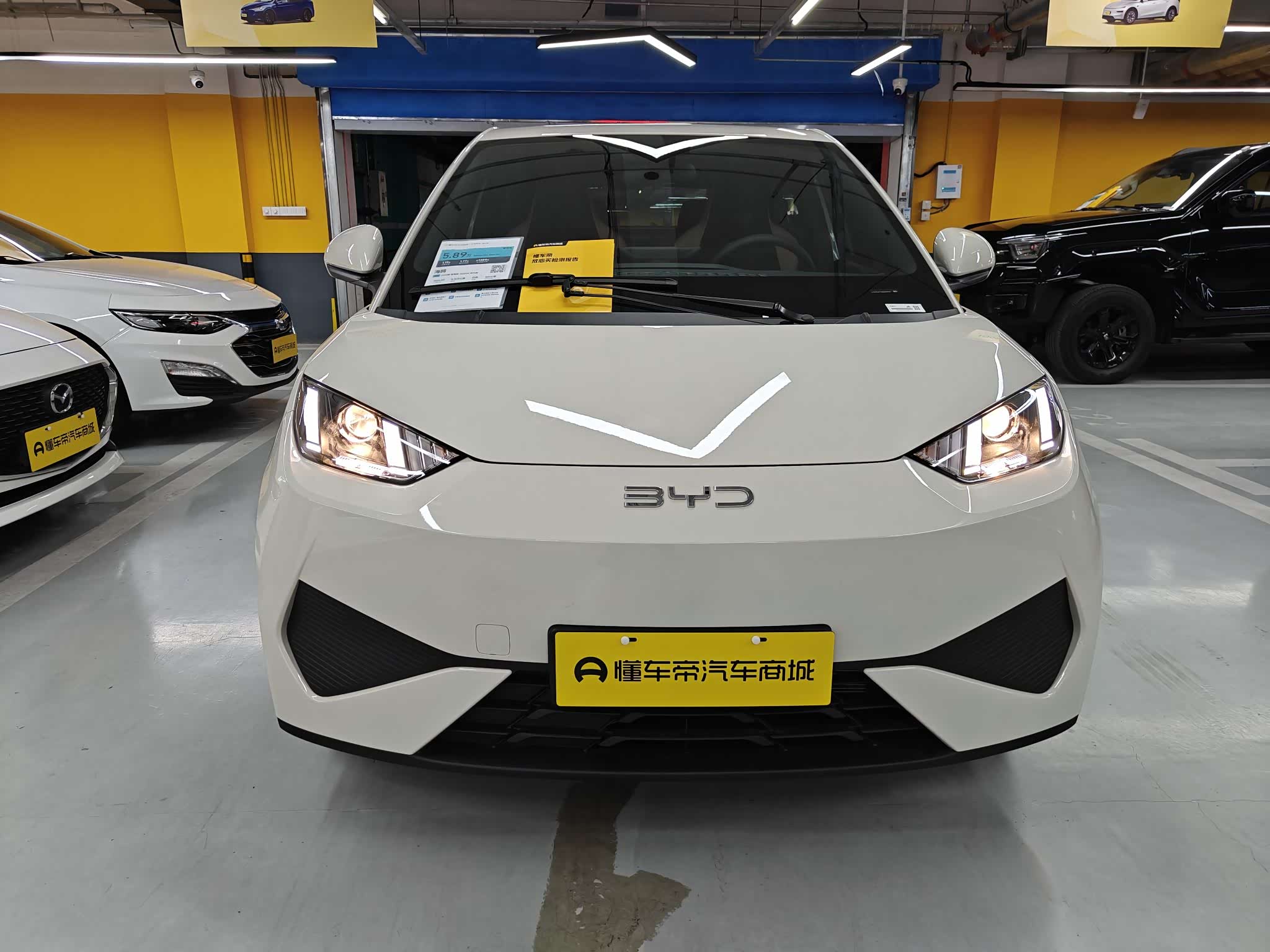 BYD Seagull