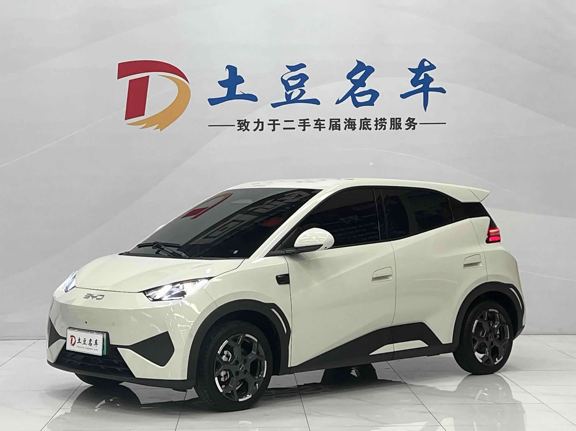 BYD Seagull