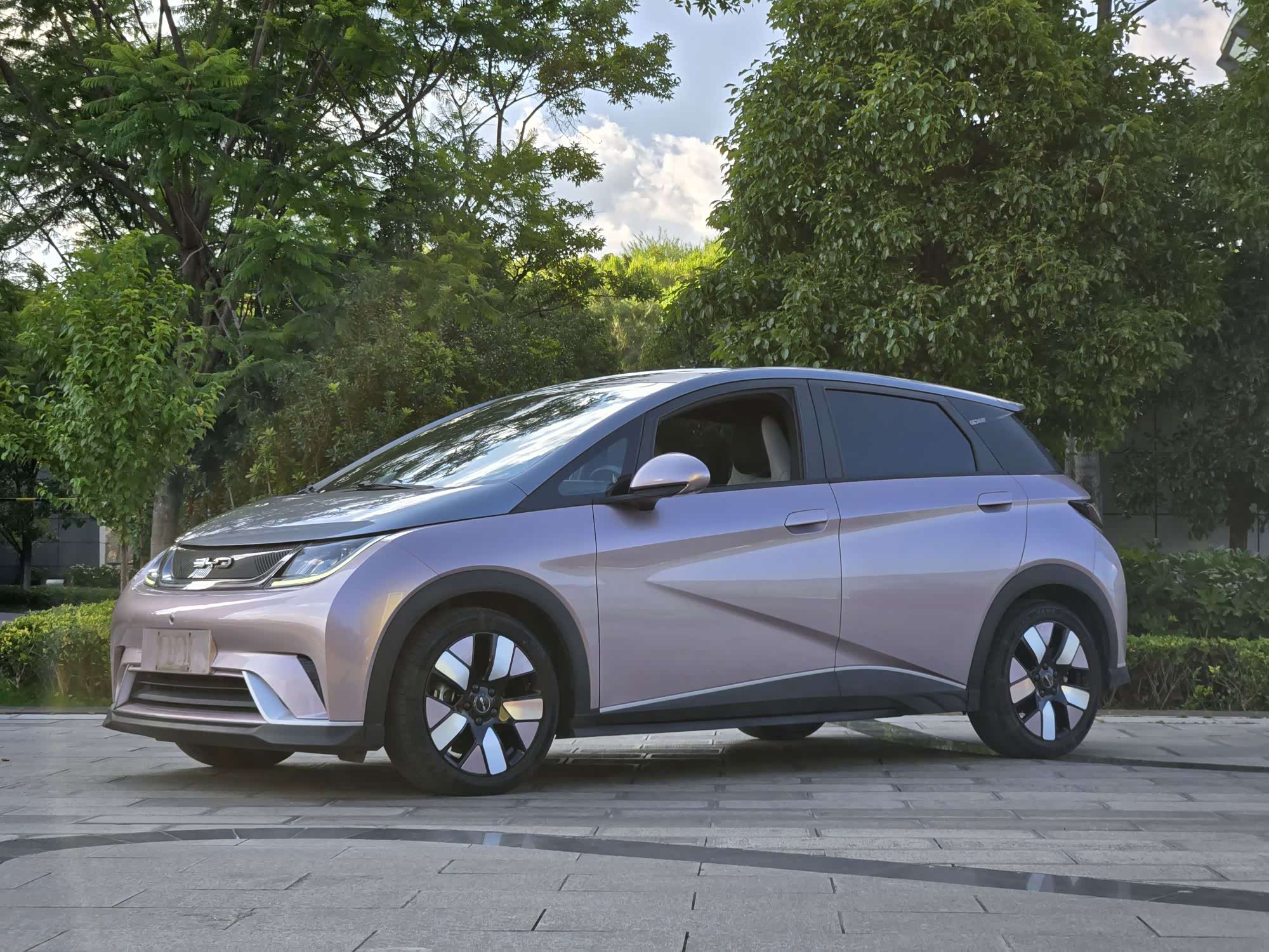 BYD Dolphin