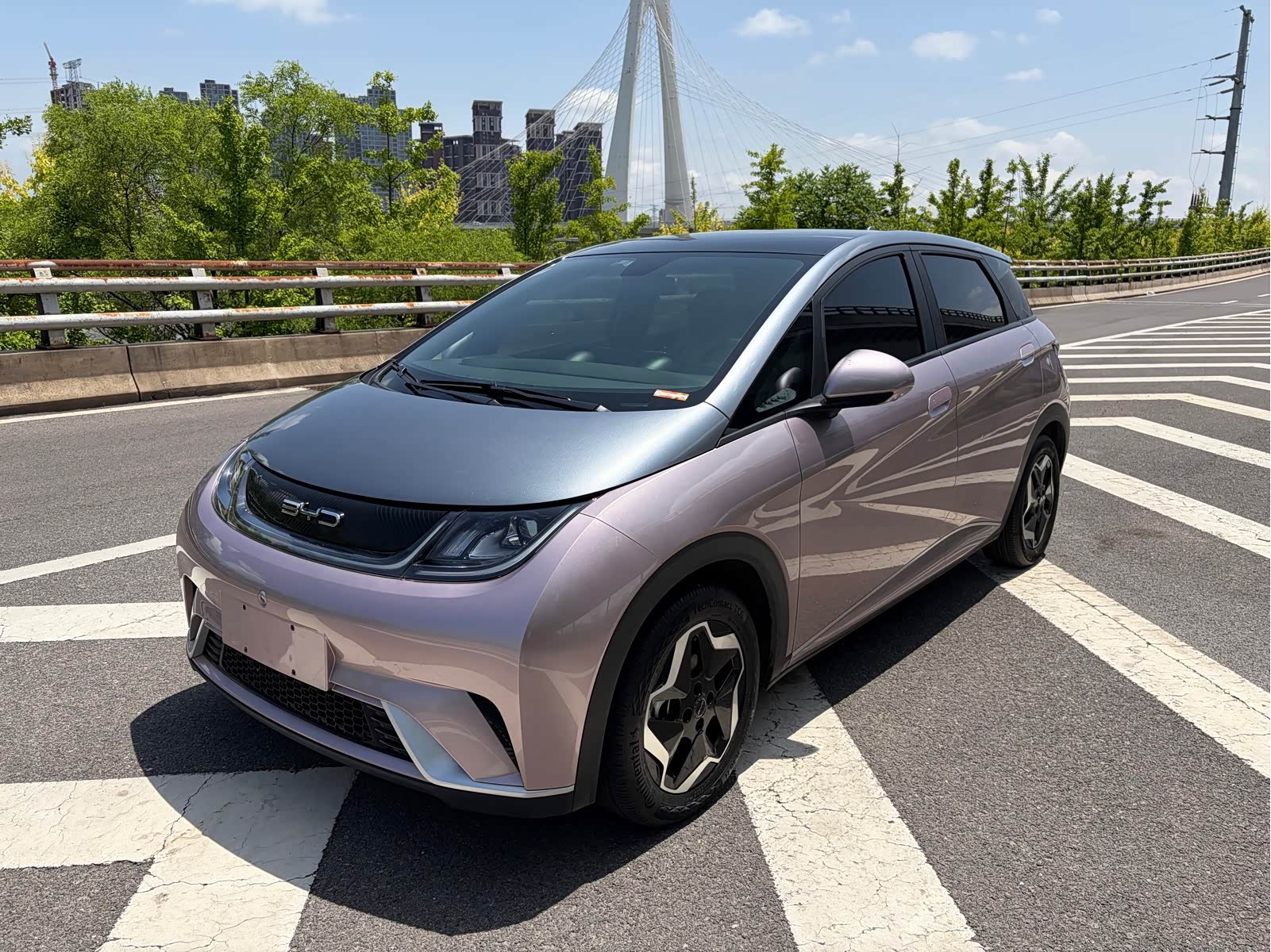 BYD Dolphin