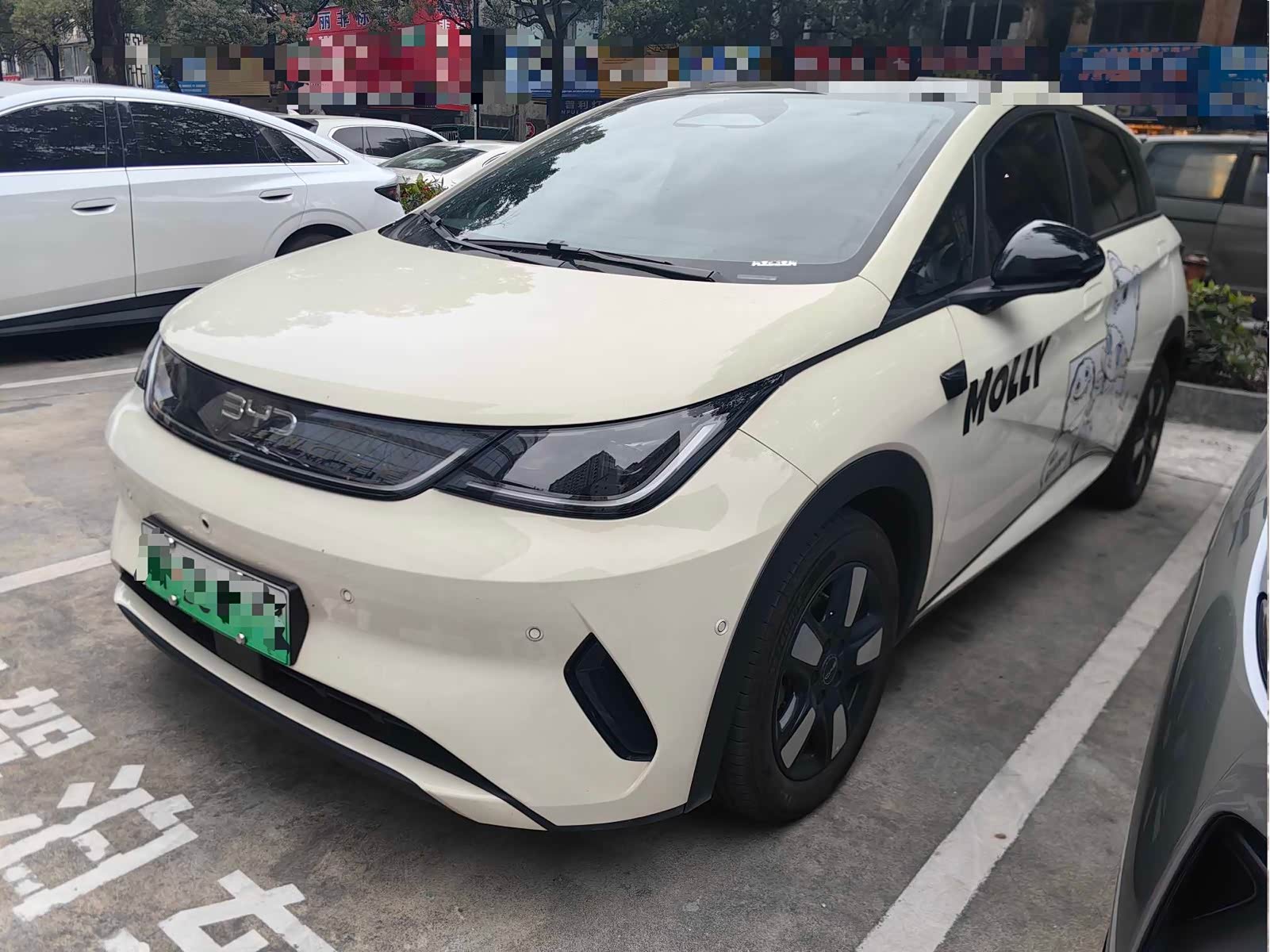 BYD Dolphin
