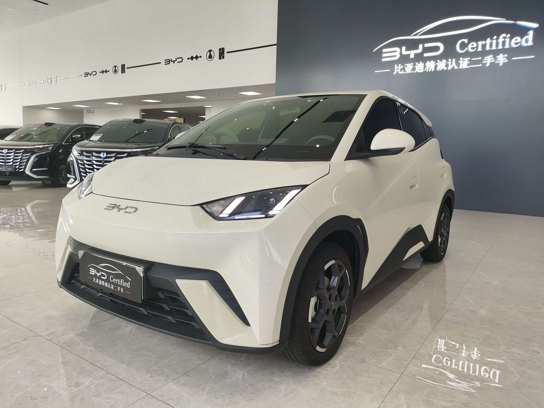 BYD Seagull