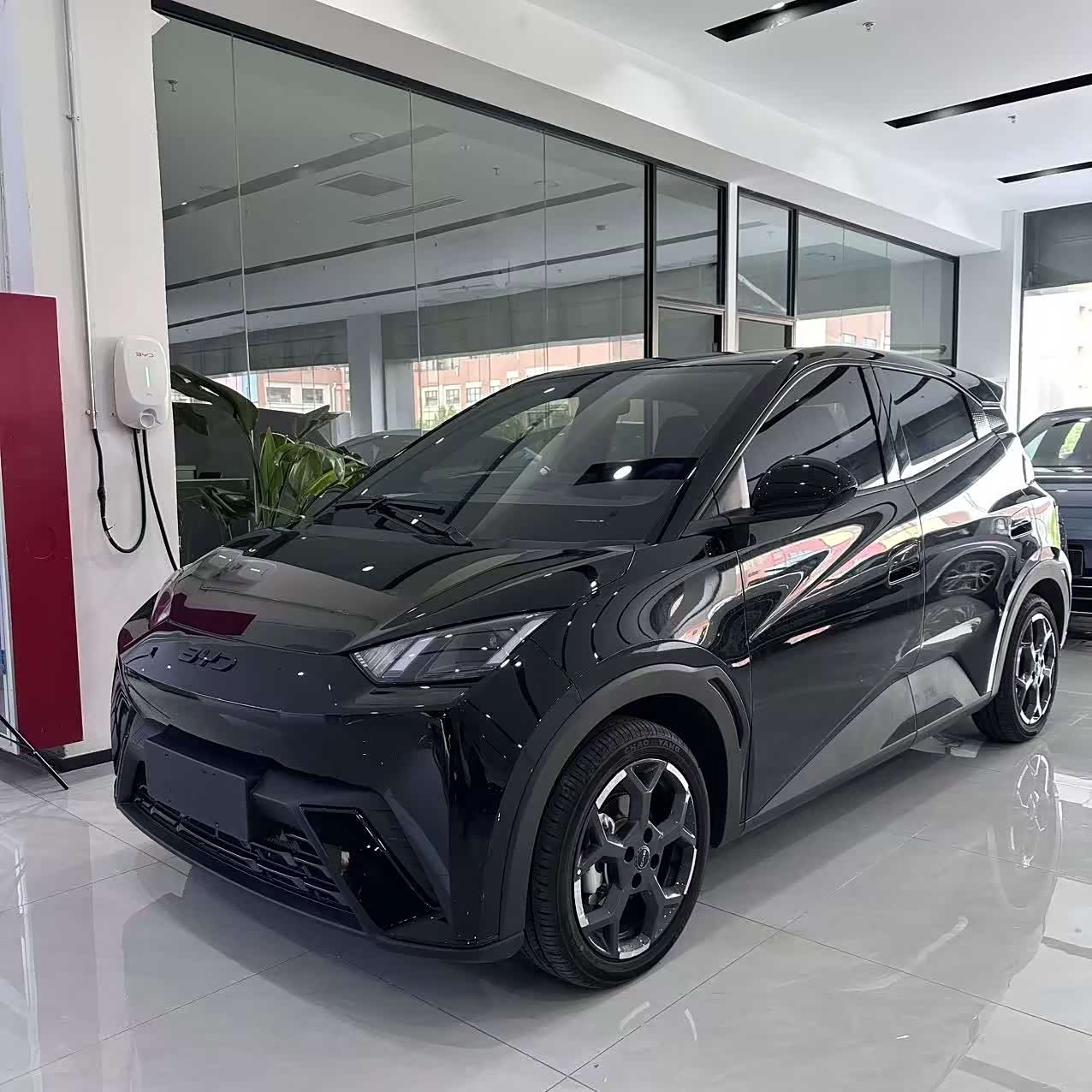 BYD Seagull
