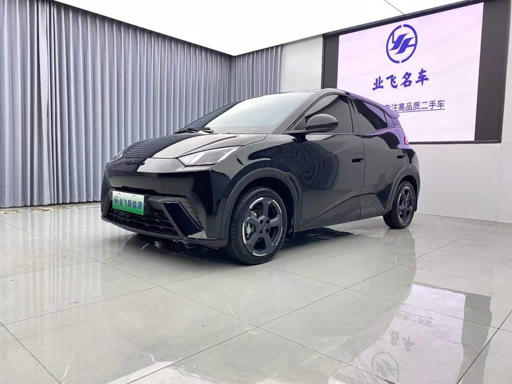 BYD Seagull