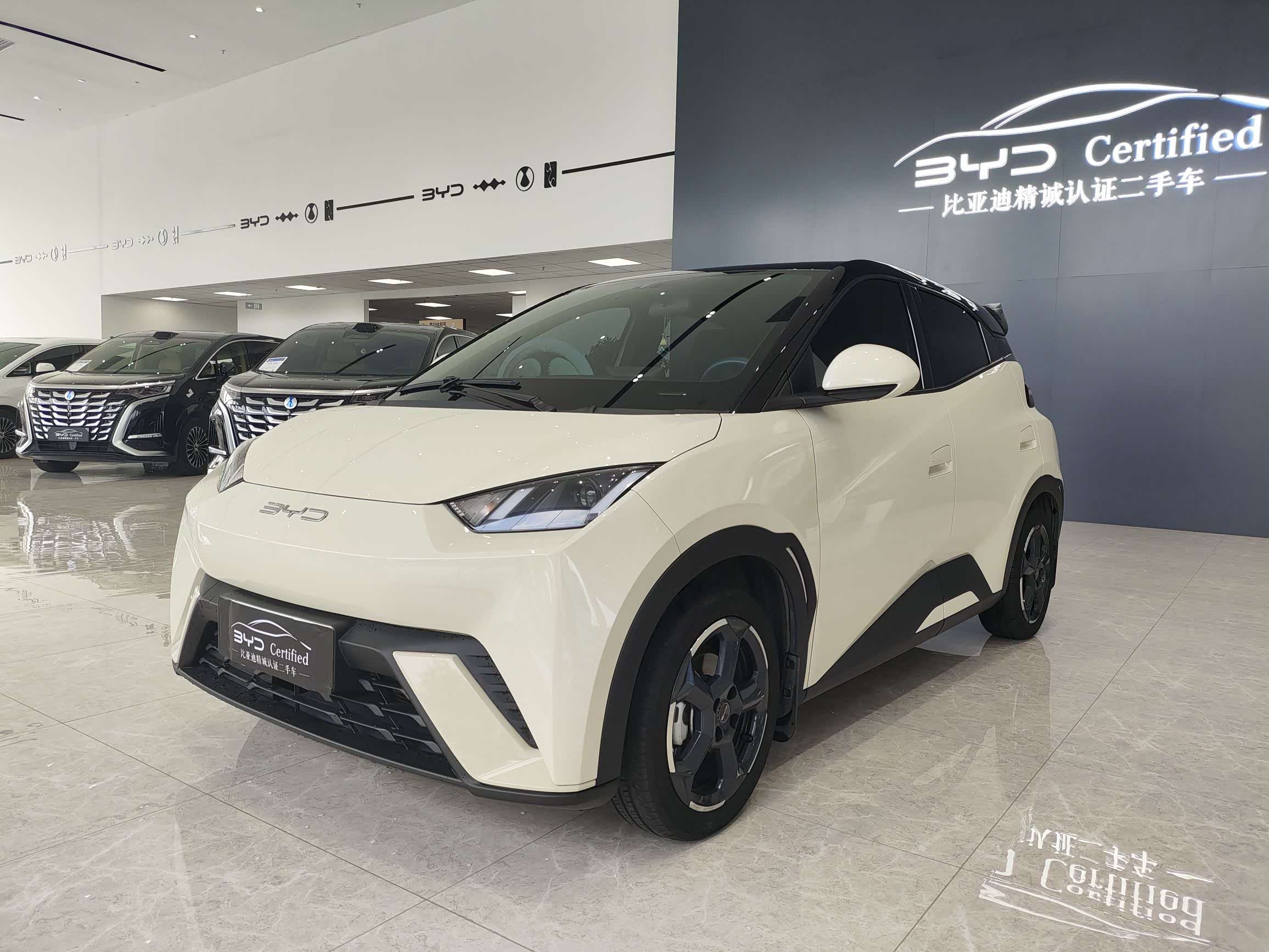 BYD Seagull