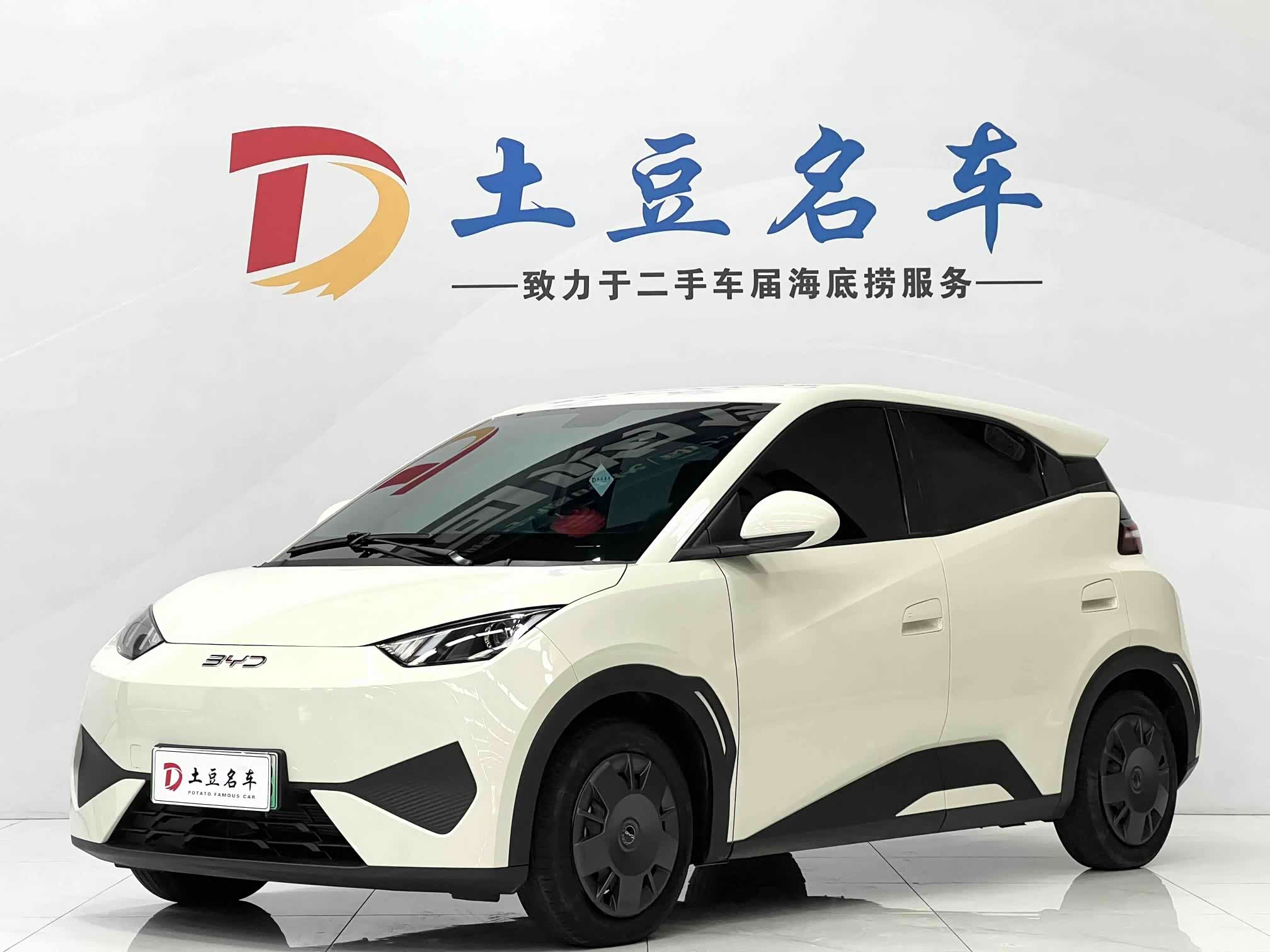 BYD Seagull