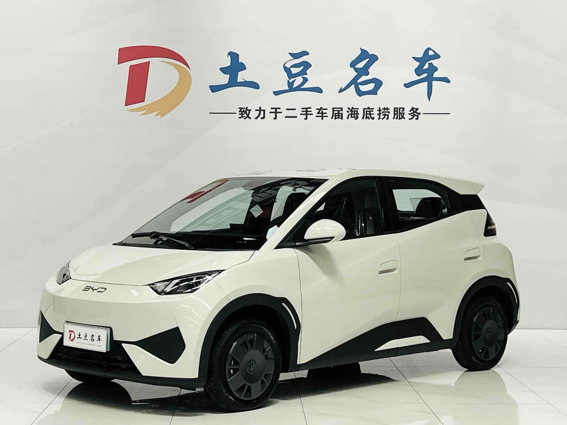 BYD Seagull