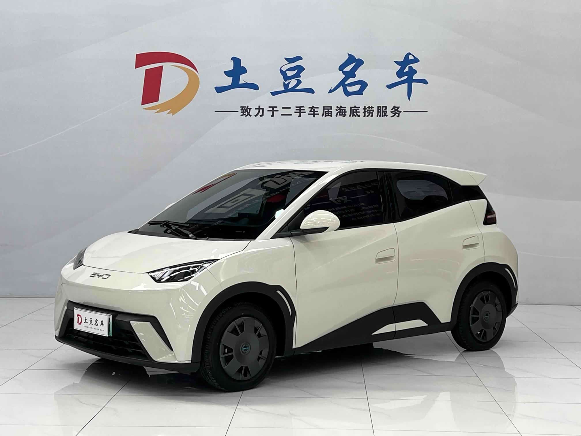 BYD Seagull
