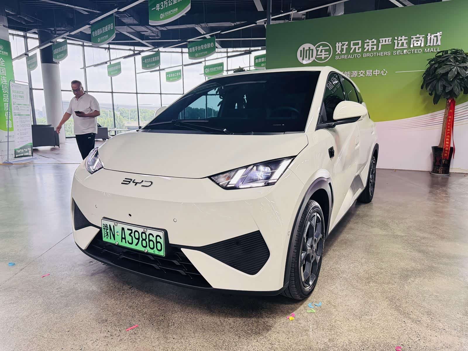 BYD Seagull