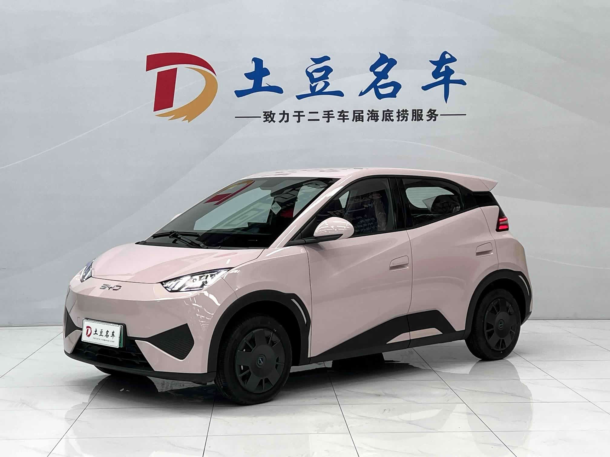 BYD Seagull