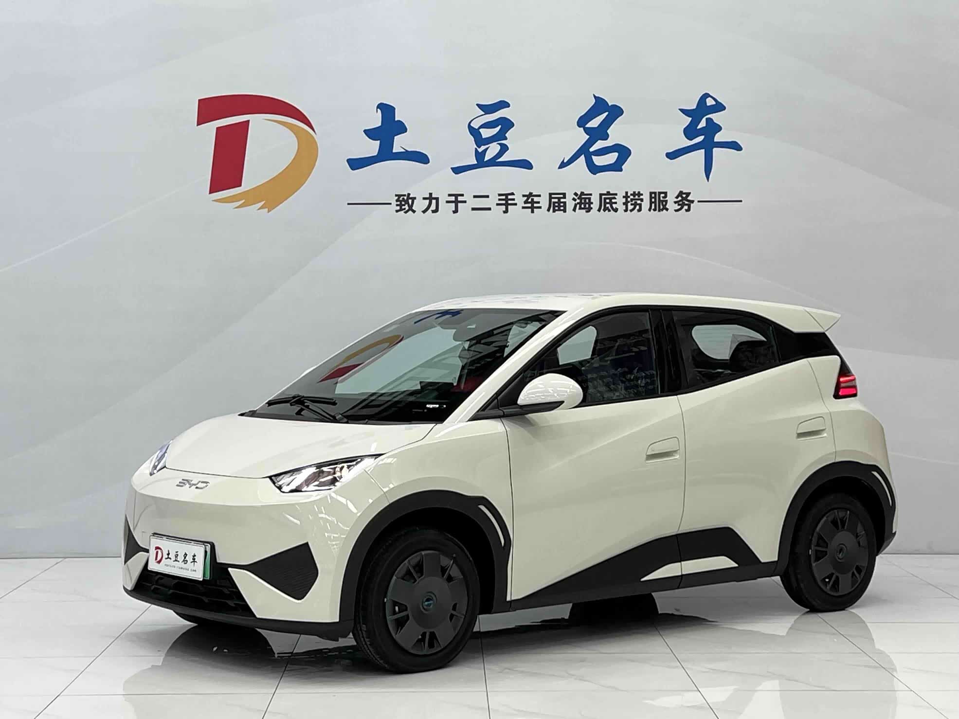 BYD Seagull
