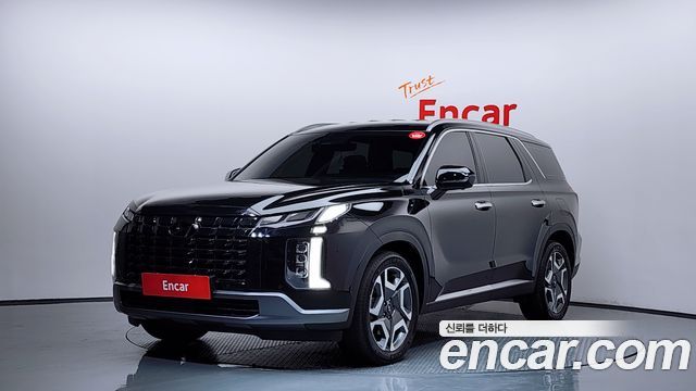 Hyundai Palisade, Чёрный