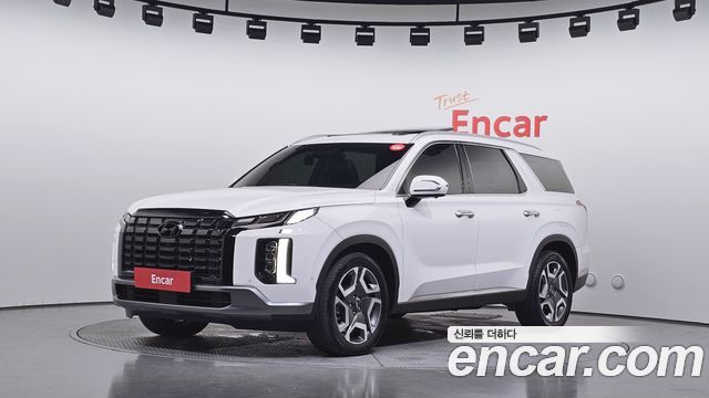 Hyundai Palisade, Белый