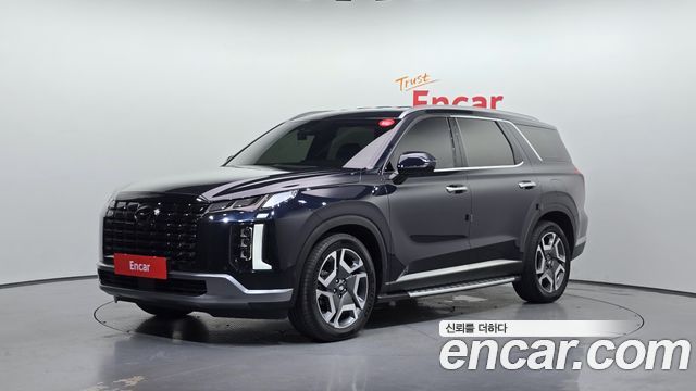 Hyundai Palisade, 청색
