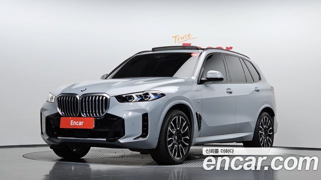 BMW X5, 은회색