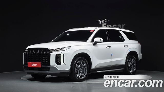 Hyundai Palisade, Белый